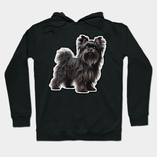 Affenpinscher Hoodie